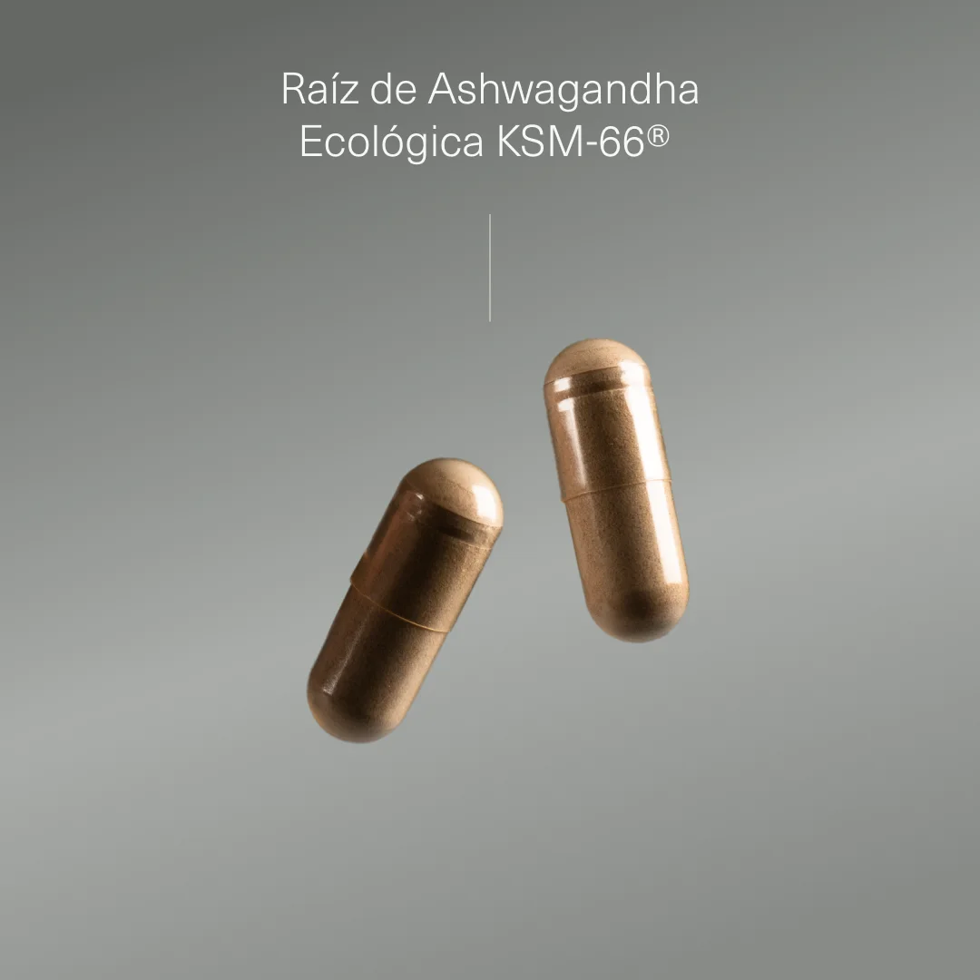 Extracto de Raíz de Ashwagandha KSM-66 ® Ecológico
