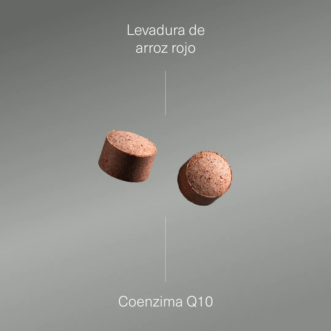 Levadura de Arroz Rojo con Coenzima Q10