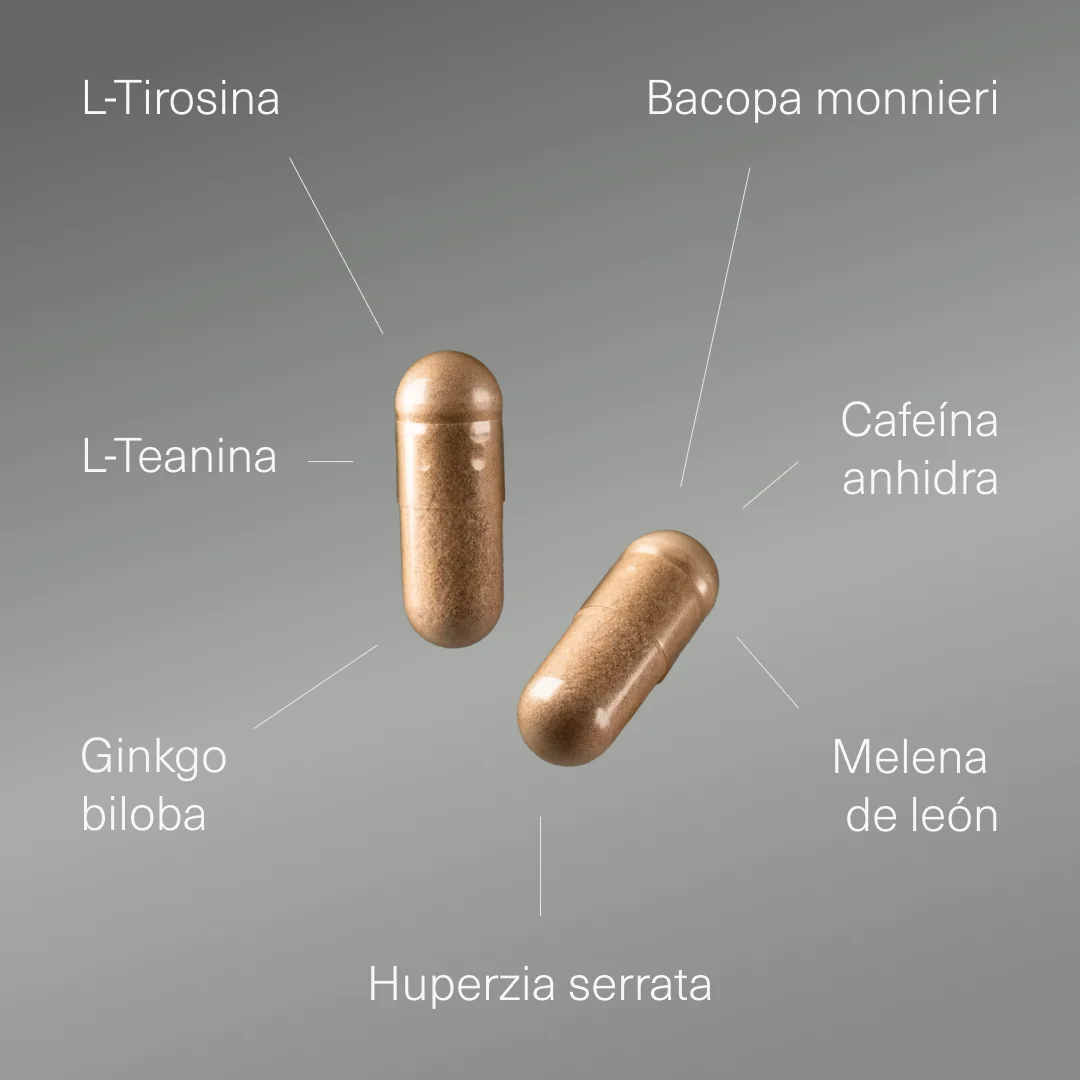 Nootrópico con Ginkgo Biloba, Melena de León, Cafeína, Bacopa, Tirosina, Teanina y Huperzia Serrata