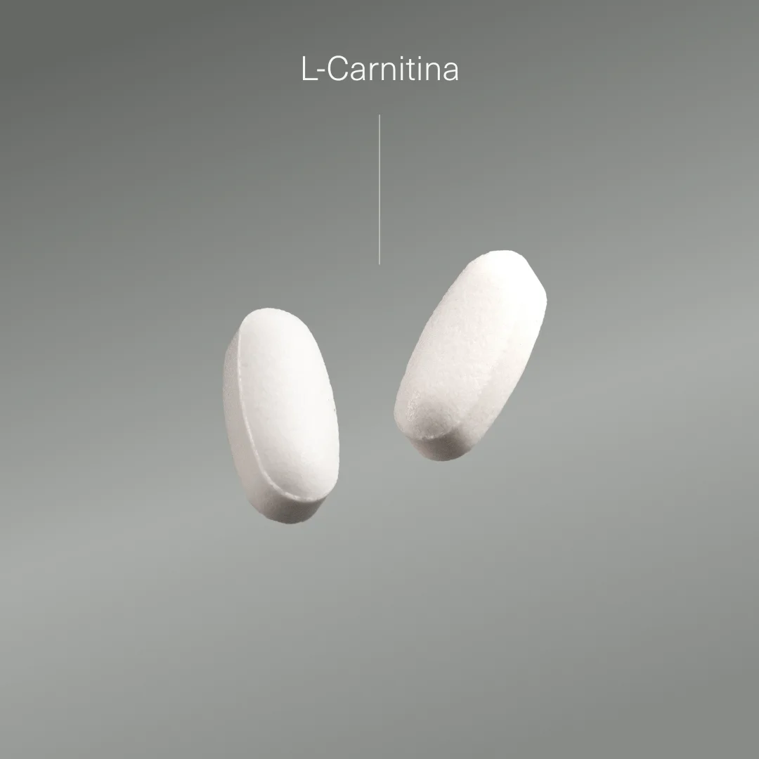 L-Carnitina